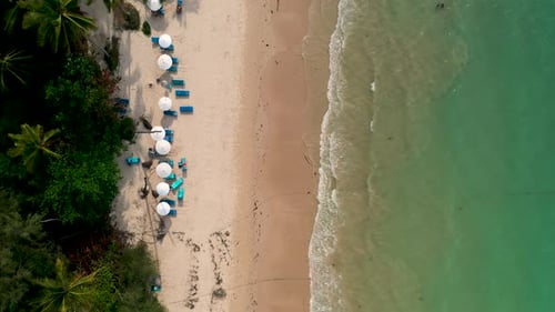 Aerial drone view of colorful sunshades on an idyllic tropical beach surrounded by palm trees