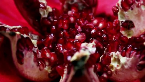 Ripe Pomegranate Fruit with Bright Maroon Grains