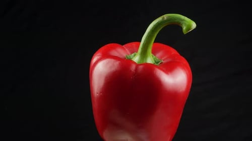 Vibrant Red Pepper Rotating on Black Background