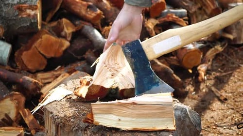Man Chopping Wood with an Axe