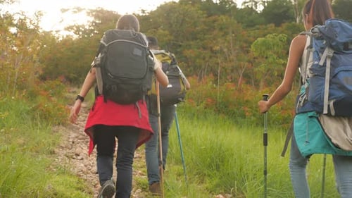 A group of trekkers with backpacks are walking up the mountain.