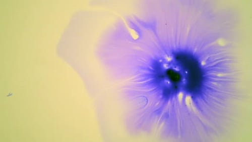 Purple Ink Spreading in Liquid Abstract Background