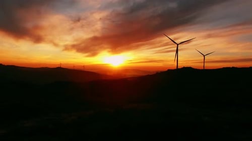 Windmills Sunset