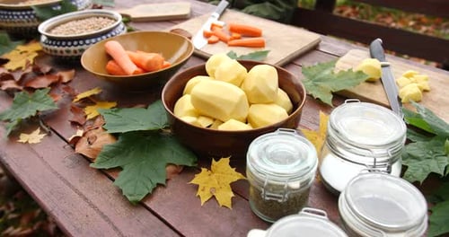 Overview of decorated picnic table full of vegetables, potatoes, carrots and peas at outdoor picnic.