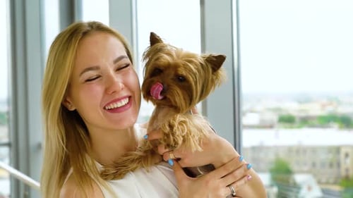 Woman Holding Yorkshire Terrier Dog and Kissing It