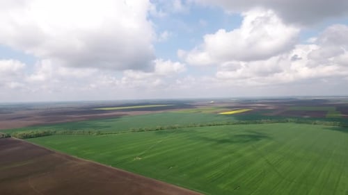 Green Wheat Fields