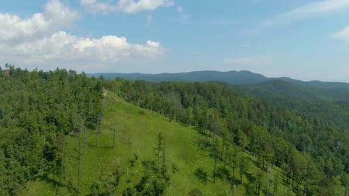 Flight Over the Green Forest on the Hill