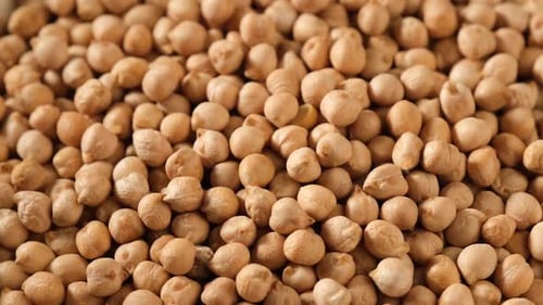 Pile of Raw Chickpeas Close Up View