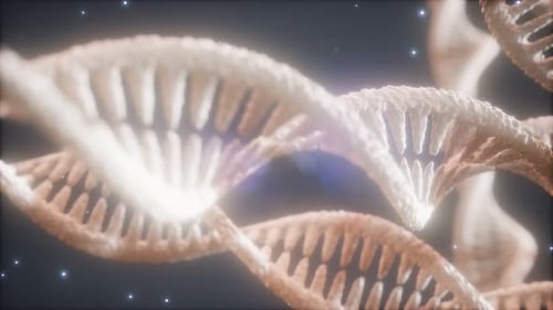 Double Helical Structure of Dna Strand Close-up Animation