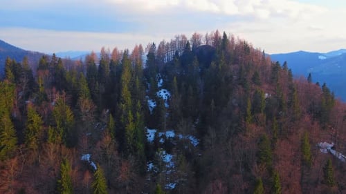 Mountainside Forest View in Beautiful Aerial Wide Shot