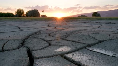 Cracked Earth at Sunrise in a Rural Landscape