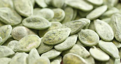 Green pumpkin seed