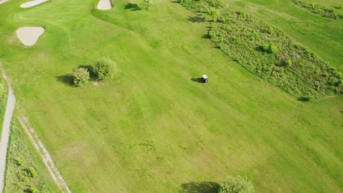 Cart Drives on Golf Course with Green Turf and Lush Bushes