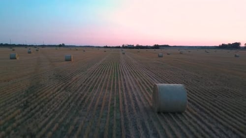 Feld mit Heurollen Sonnenaufgang. Heuballen rollt im Feld 4k Drohnenschuss aus der Luft