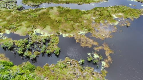 Aerial View of Tropical Rain Forest, Jungle in Brazil