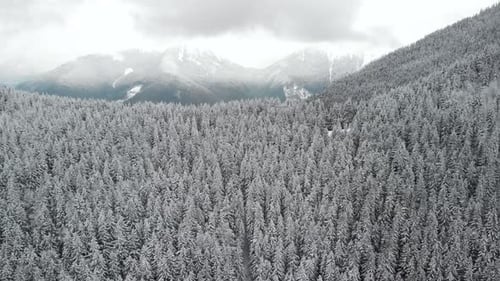 Flying Above Snow Covered Forest Unveiling Mountain Range Behind the Hill