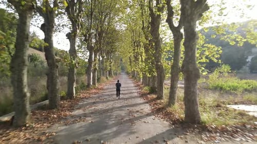 Autumn Park Sport