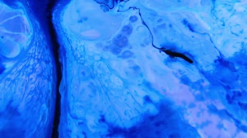 Abstract Colorful Paint Ink