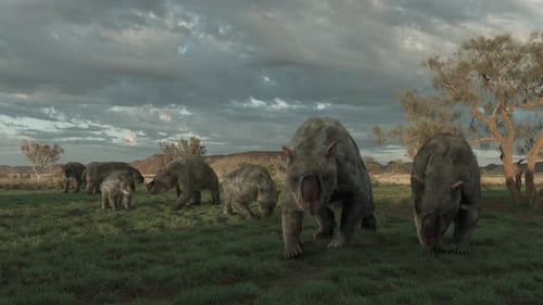 Diprotodon herd grazes on ancient Australian plain