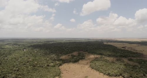 Vues imprenables sur la savane
