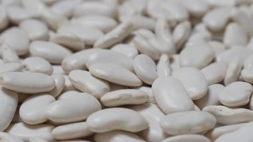 Homemade navy beans also known as haricot beans raw food close-up 4K 2160p 30fps UltraHD food video-