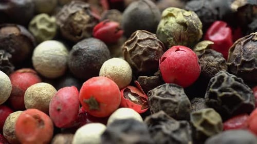 Colorful Peppercorns Macro Shot Food Spices