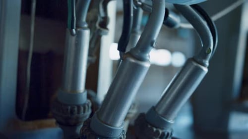 Installation de pompage d'automates laitiers pour vaches dans la fabrication technologique