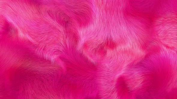 Cover for Hot Pink Fluffy Fur Texture