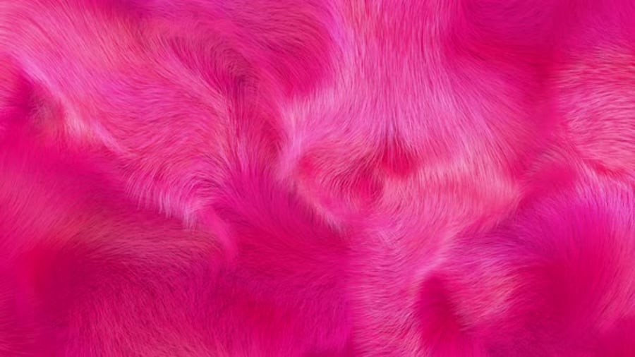 Cover for Hot Pink Fluffy Fur Texture