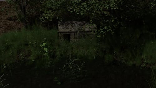 20. Abandoned House In The Middle Of The Rainforest Landscape In The Forest