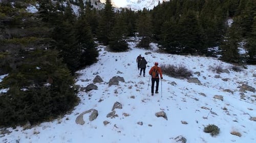 Trekking im Schneewald