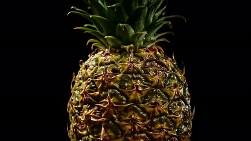 Juicy Fresh Big Pineapple Rotating on Black Background. Fruit Isolated. Macro Surface of Tropical