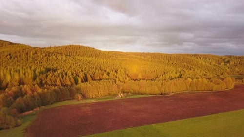 Country Forest Hill At Sunset