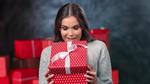 Smiling Woman Holding a Christmas Present Indoors