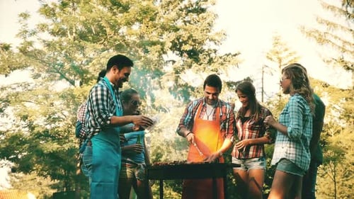 Friends Having a Summer Barbeque in a Park