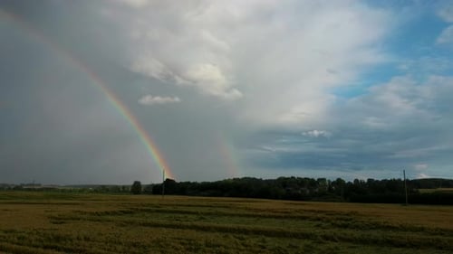 Flight Backward Ripe Crop Field After Rain and Colorfull Rainbow in Background