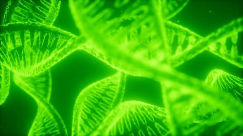 Struktur der DNA-Doppelhelix-Animation