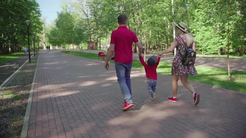 Family Walks on the Lawn. Dad and Mom Raise Their Sun By the Arms Above the Ground. Summer Walk in