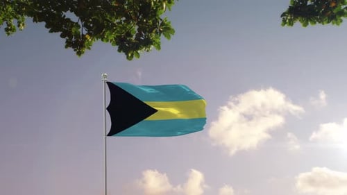 Bahamas Flag With Modern City
