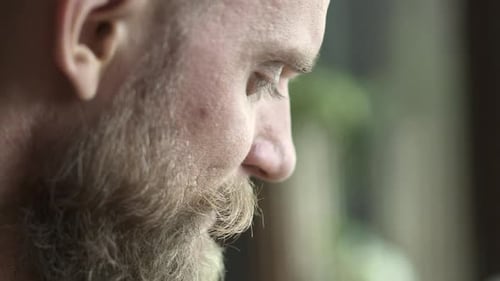 Profile of a Bearded Man with Light Green Eyes in Closeup with a Blurred Background