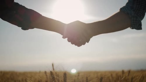 Farmers Handshake Over the Wheat Crop in Harvest Time. Partnership Concept.