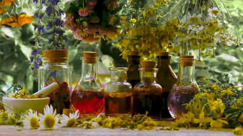 Colorful Flowers and Herbs for Natural Medicine