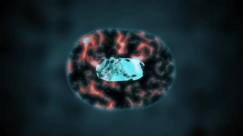 Animated Microscopic Cell Division Process