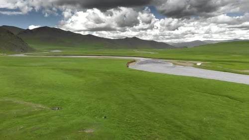 Stream Flowing Through an Empty Green Meadow with Unmanned and Treeless