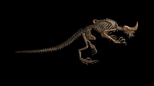 Skeleton Serpent Man 1