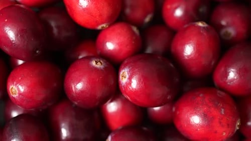 Cranberries 23