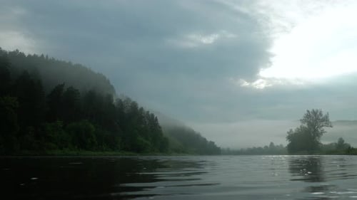 Morning forest by the river