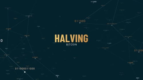 Dynamic Bitcoin Halving Text Reveal with Digital Tech Network