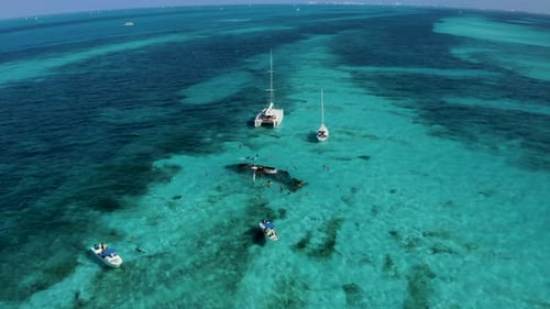 Aerial View of Snorkeling in the Caribbean Sea Near the Sinked Ship