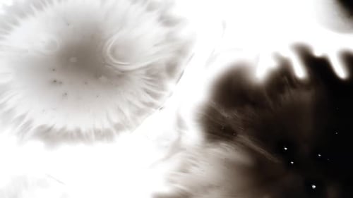 Abstract Black Ink Spreading on White Surface